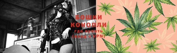 мдпв Волоколамск